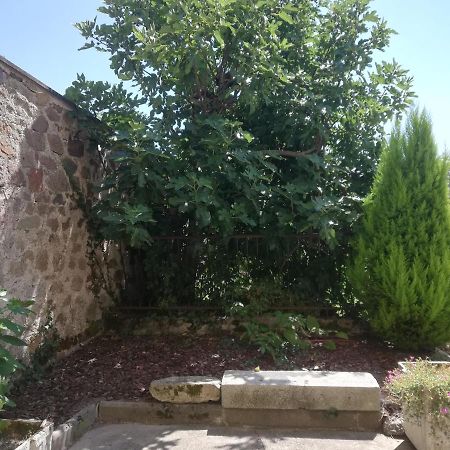 דירות סנט-ג'וניין Meubles De Tourisme Le Trianon Et Le Petit Trianon מראה חיצוני תמונה